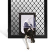 diamond pet door